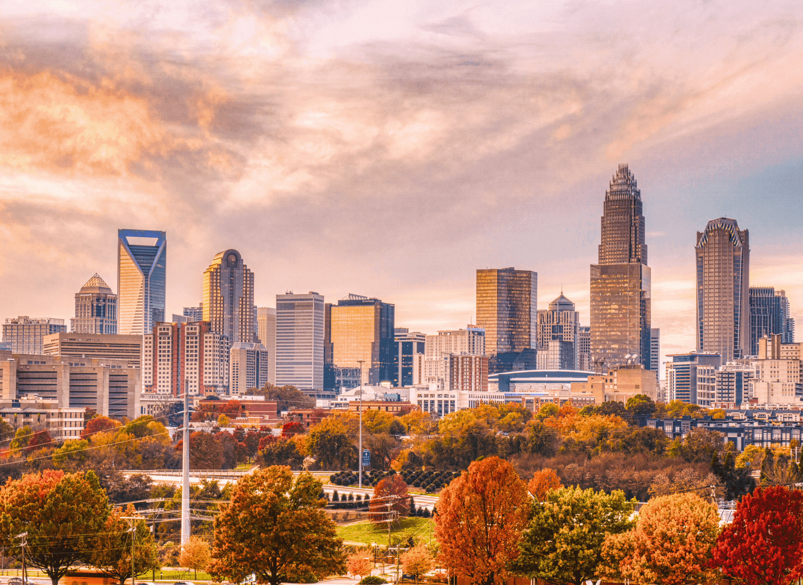Charlotte 2