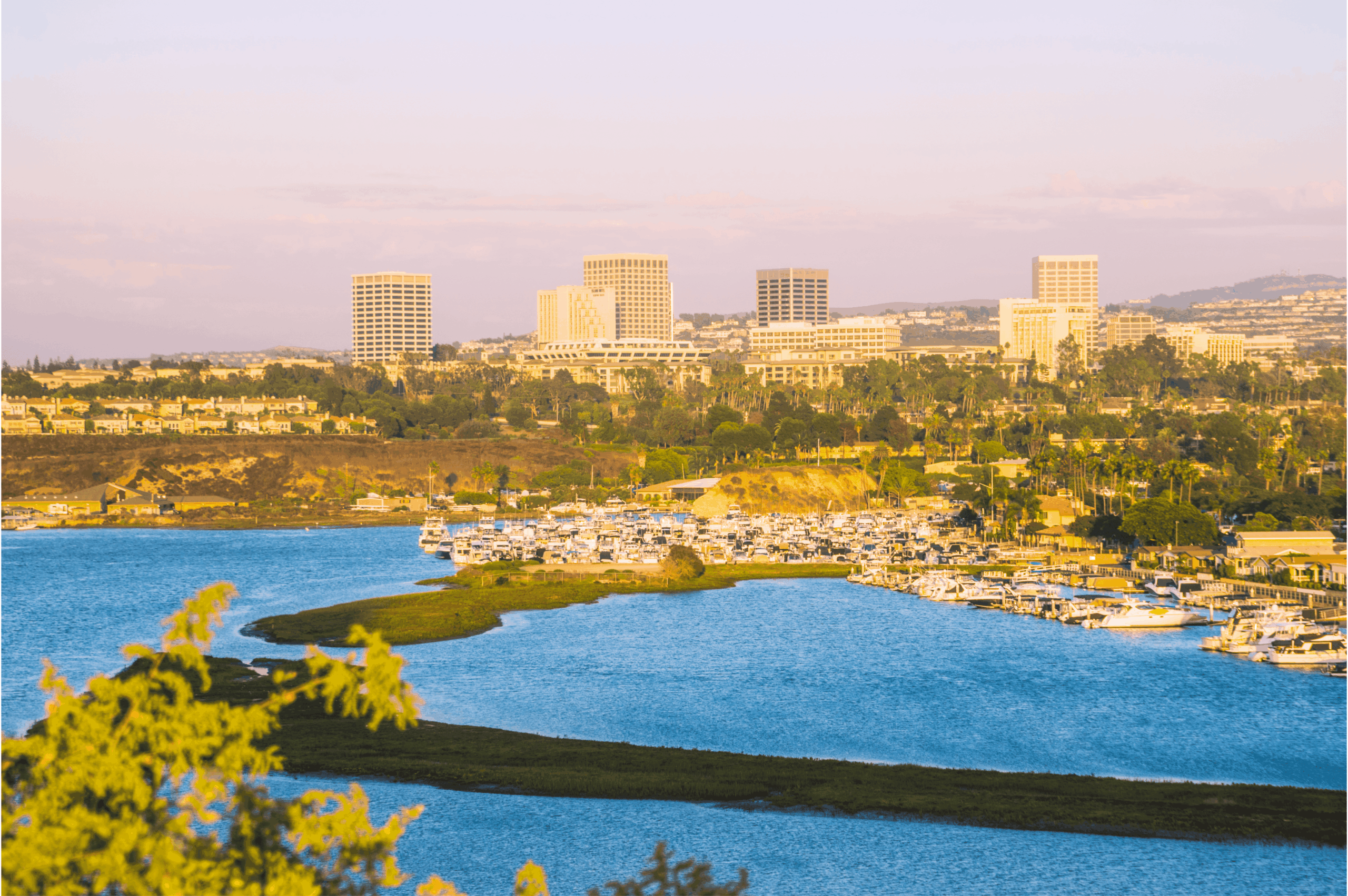 Orange County 1